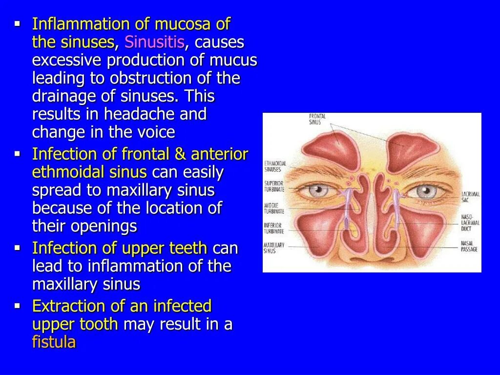 Nasal patch перевод