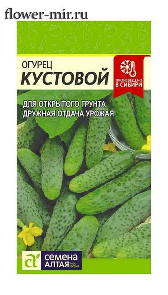 Кустовые сорта огурцов. Семена огурец кустовой. Огурцы семена кустовые корнишоны. Кустовые огурцы для открытого грунта. Семена огурцов кустовые.