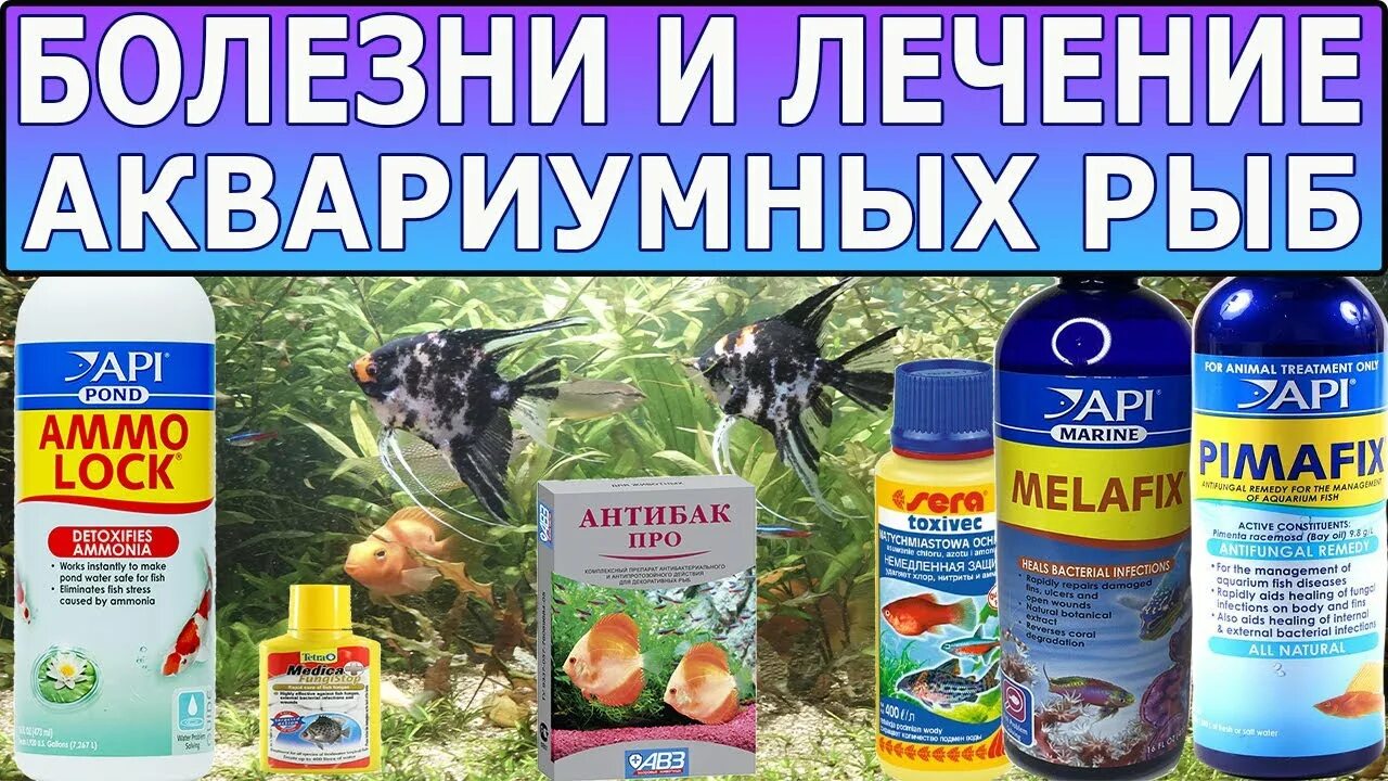Производные нитрофурана классификация. Фурацилин жидкий. 02 раствор. Таблетки для лечения аквариумных рыбок. Фурацилин цвет.