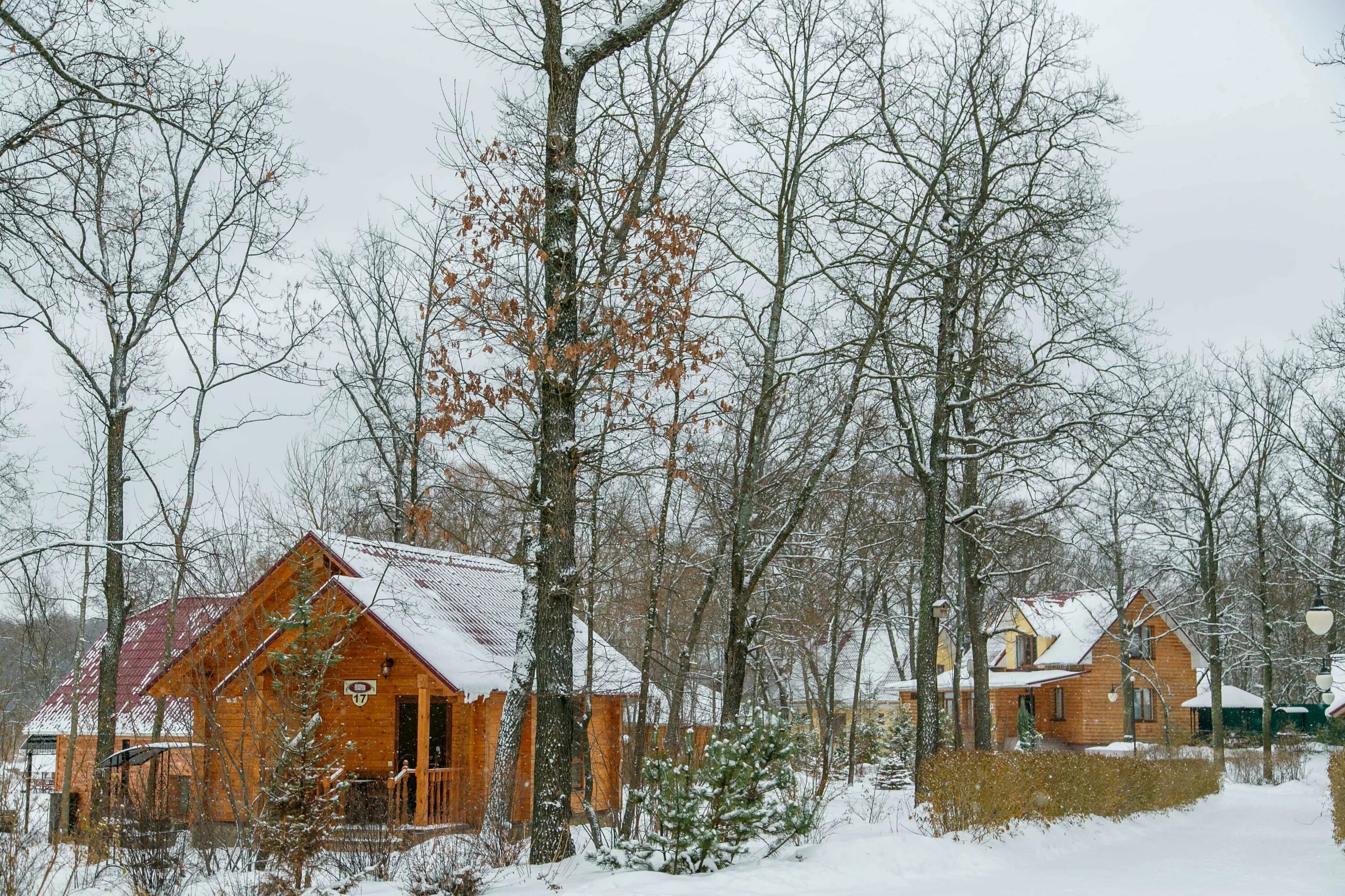 Зимняя турбаза воронеж. Обломов турбаза. Турбазы зимой воронеж. Путь к себе воронеж турбаза. Турбазы зимой воронеж.