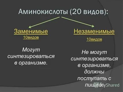 Какие белки незаменимые