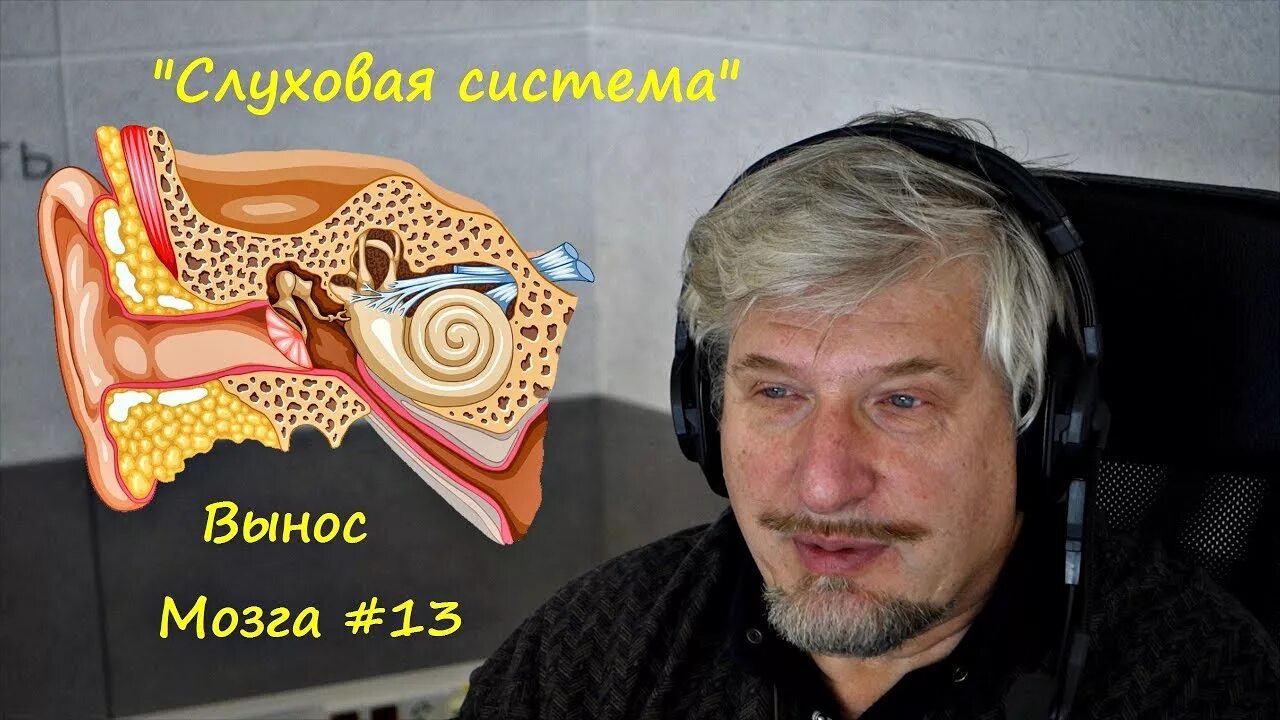 Песня вынесла мозг