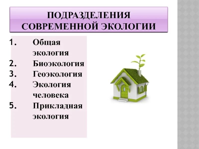 Подразделения экологии. Основные подразделения экологии человека. Подразделения экологии по центральному объекту. Подразделение экологии на 4 раздела. Направление современной экологии