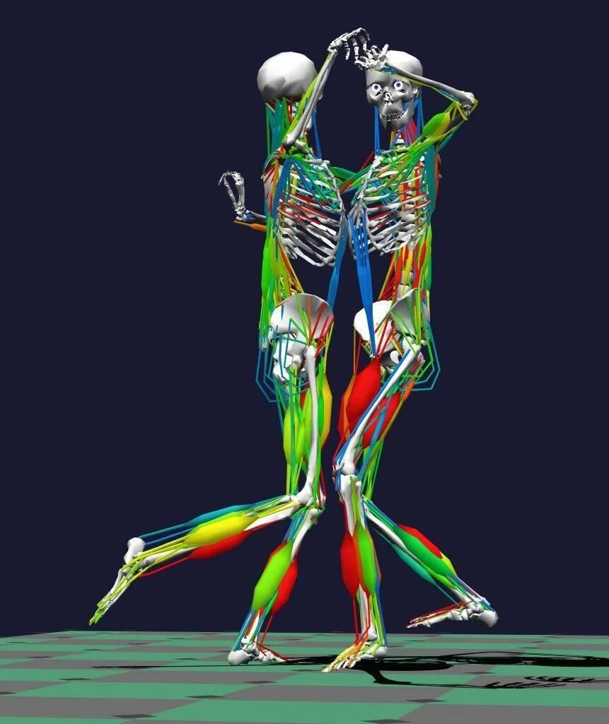 Движение человеческого тела. Биомеханика человеческого тела. Человеческое тело в движении. Опорно-двигательный аппарат человека. Мышцы человека позы.