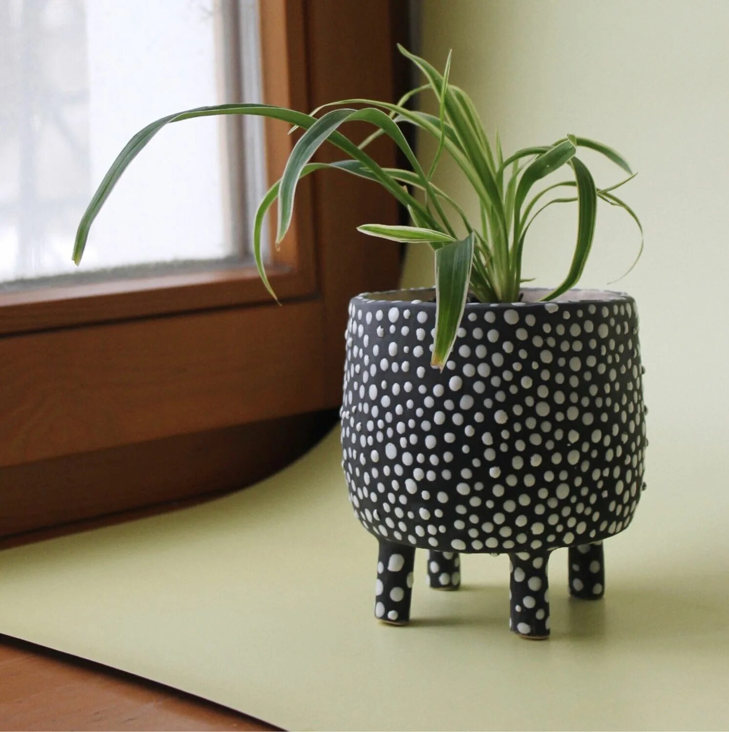 горох пророщенный в горшке. горох в горшке. свеча сувенирная горшочек /клубника/ 2383818. цветочные горшки в горошек. Happy plant.