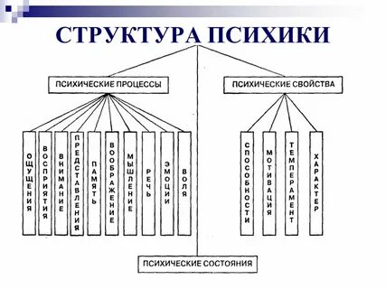 Структура психологии развития