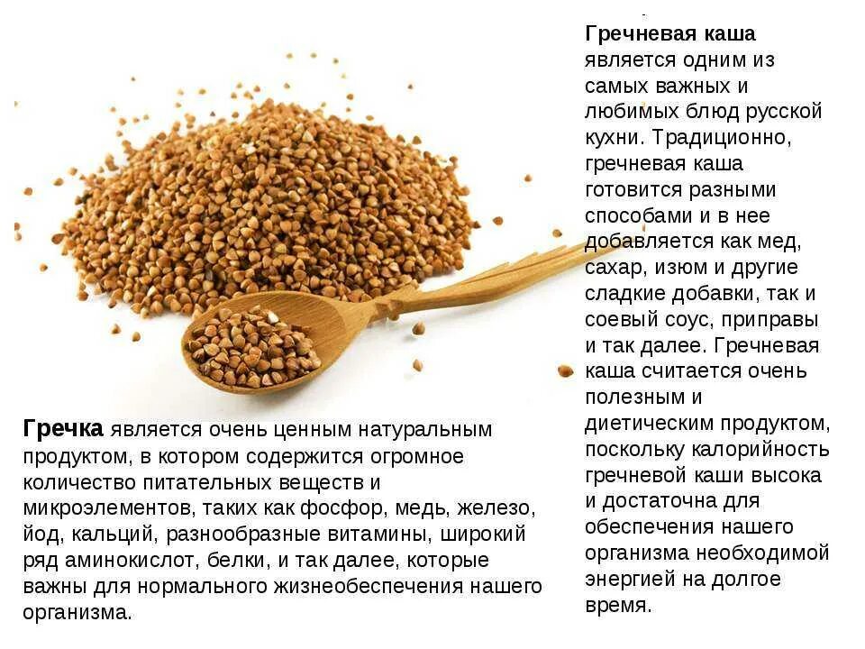 В каких странах едят гречку. Сообщение о гречневой крупе. сообщение про гречку. гречневая каша польза. польза гречки.