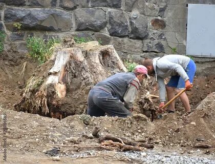 Digging out