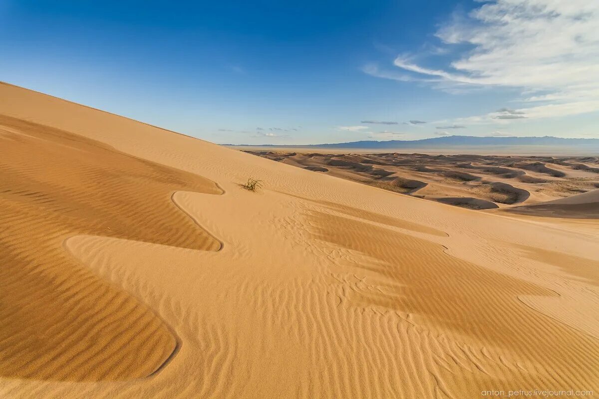 Самая крупная пустыня на земле. Пески Хонгорын Элс. Дюны в пустыне Гоби. Поющие Пески в пустыне Гоби. Песчаные дюны Хонгорын-Элс.
