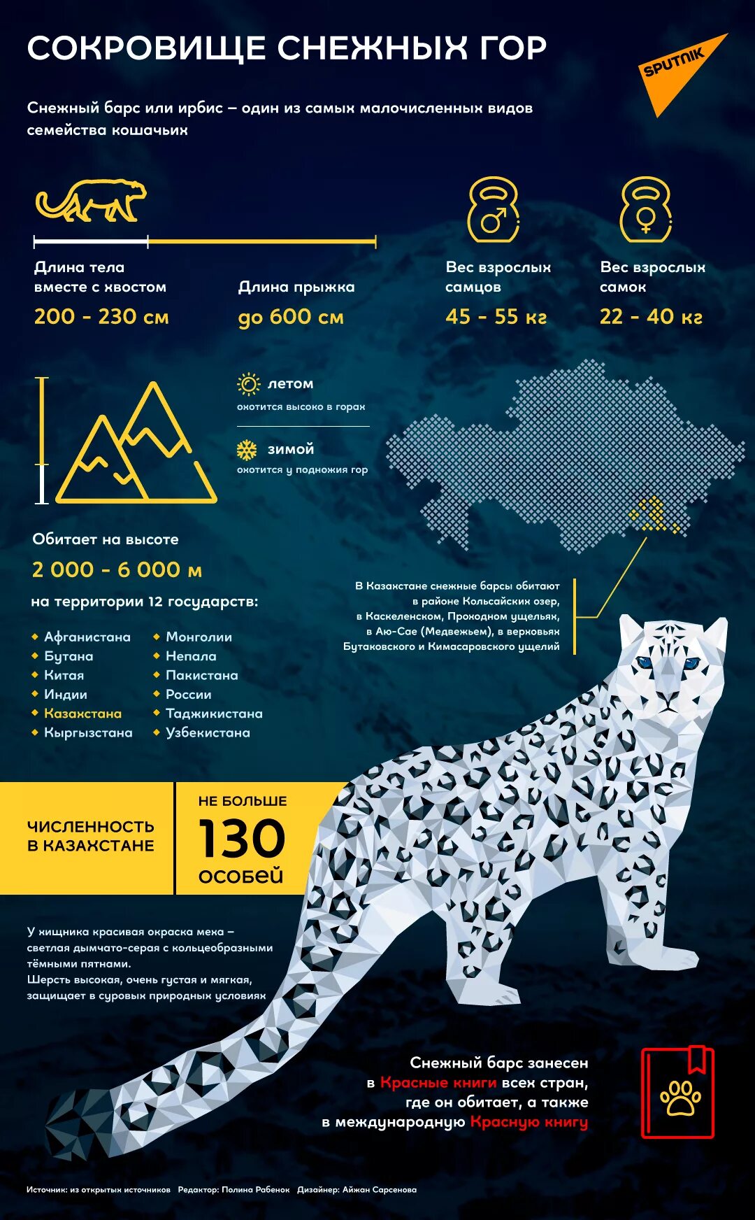 Барсы какие выплаты. Снежный Барс инфографика. Казахстан снежный Барс Казахстан. Среда обитания снежного Барса. Снежный Барс из красной книги.