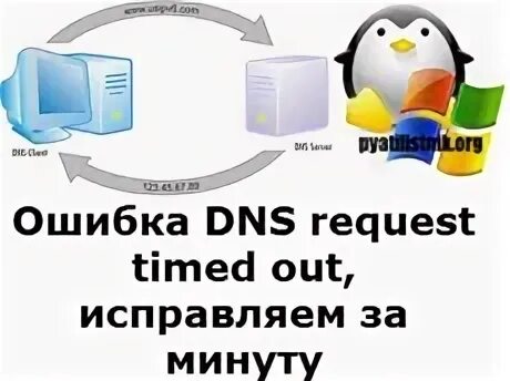 Request timeout error. Ошибка DNS. Null DNS request.