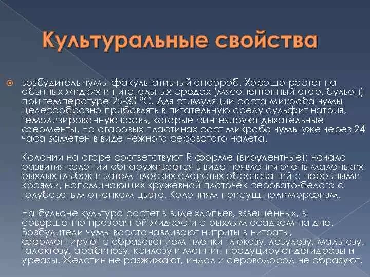 Характеристика возбудителя чумы. Биохимическая активность чумы. Эпидемиологические особенности чумы. Чума морфология возбудителя. Характеристика возбудителя чумы.