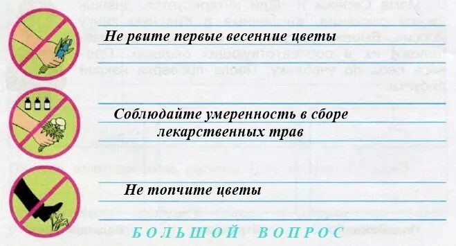 Сформулируйте правила к условным знакам. Охрана растений задания. Запиши правила которые зашифрованы этими условными. Правила которые зашифрованы этими условными знаками. Запиши правила которые зашифрованы этими условными знаками 3 класс.