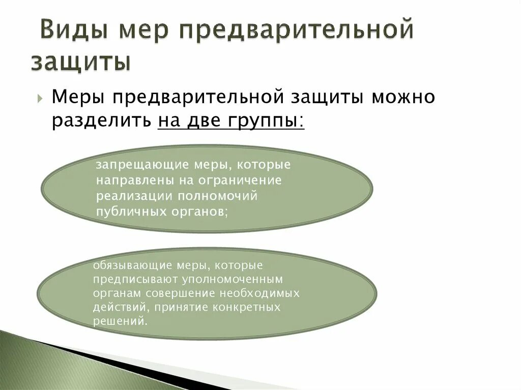 Применение мер предварительной защиты по административному иску. Меры предварительной защиты. Меры предварительной защиты виды. Меры предварительной защиты по административному. Виды мер предварительной защиты по административному иску.