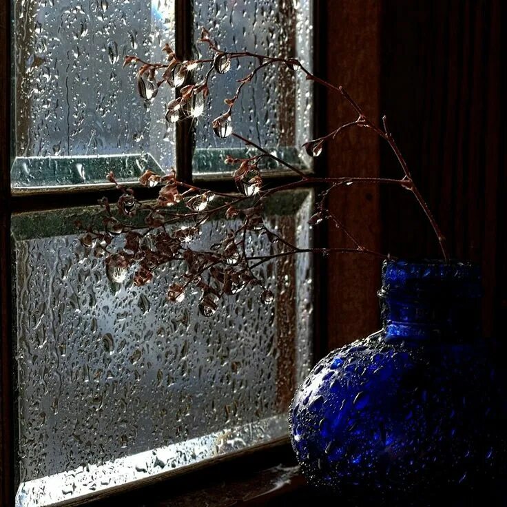 Стеклянный звон. Дождь за окном. Дождь в окне. Осень дождь за окном. Дождливое окно.