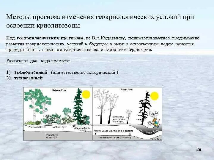 Прогноз изменения условий. Подготовительный этап геокриологической съемки. Опасные геокриологические процессы схемы. Криолитозона виды. Категория сложности геологических геокриологических условий.