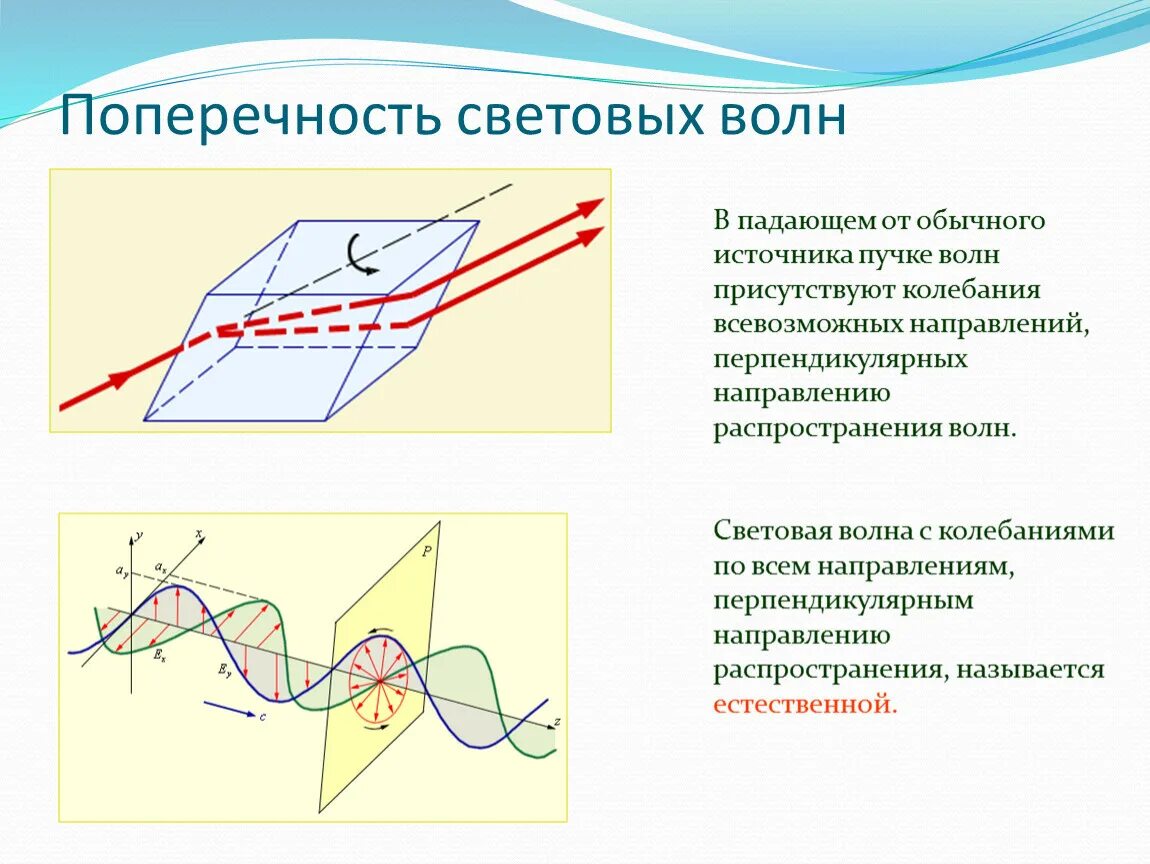 Световые волны 2 вариант. 40. Поперечность световых волн. Поперечность световых волн поляризация волн. Поперечность световых волн 11 класс. Поперечность световых волн поляризация света.