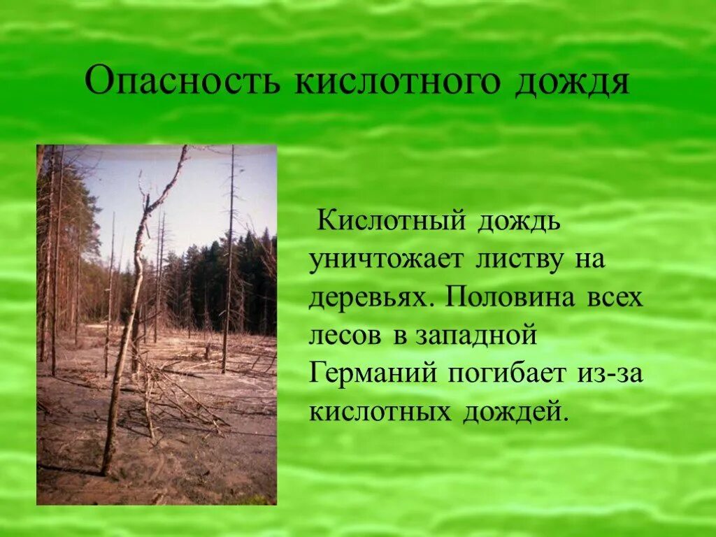 Ядовитые осадки. Кислотные дожди. Кислотные дожди вредные последствия. Кислотные осадки презентация. Загрязнение почвы кислотными дождями.