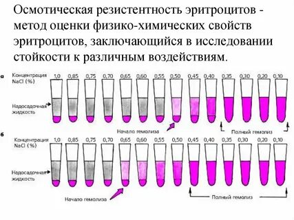 Резистентность эритроцитов норма