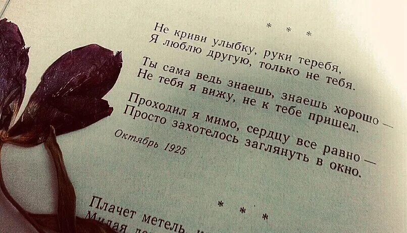 Строки есенина о любви. Красивые строчки о любви. Красивая строчка из стихотворений. Красивые строки из стихов. Красивые строчки из стихов.