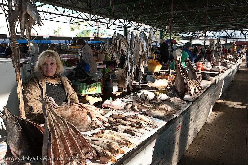 рыба на рынке. на рынке ростова рыба. на рынке ростова рыба. ростовский центральный рынок рыба. ростовский рыбный рынок.