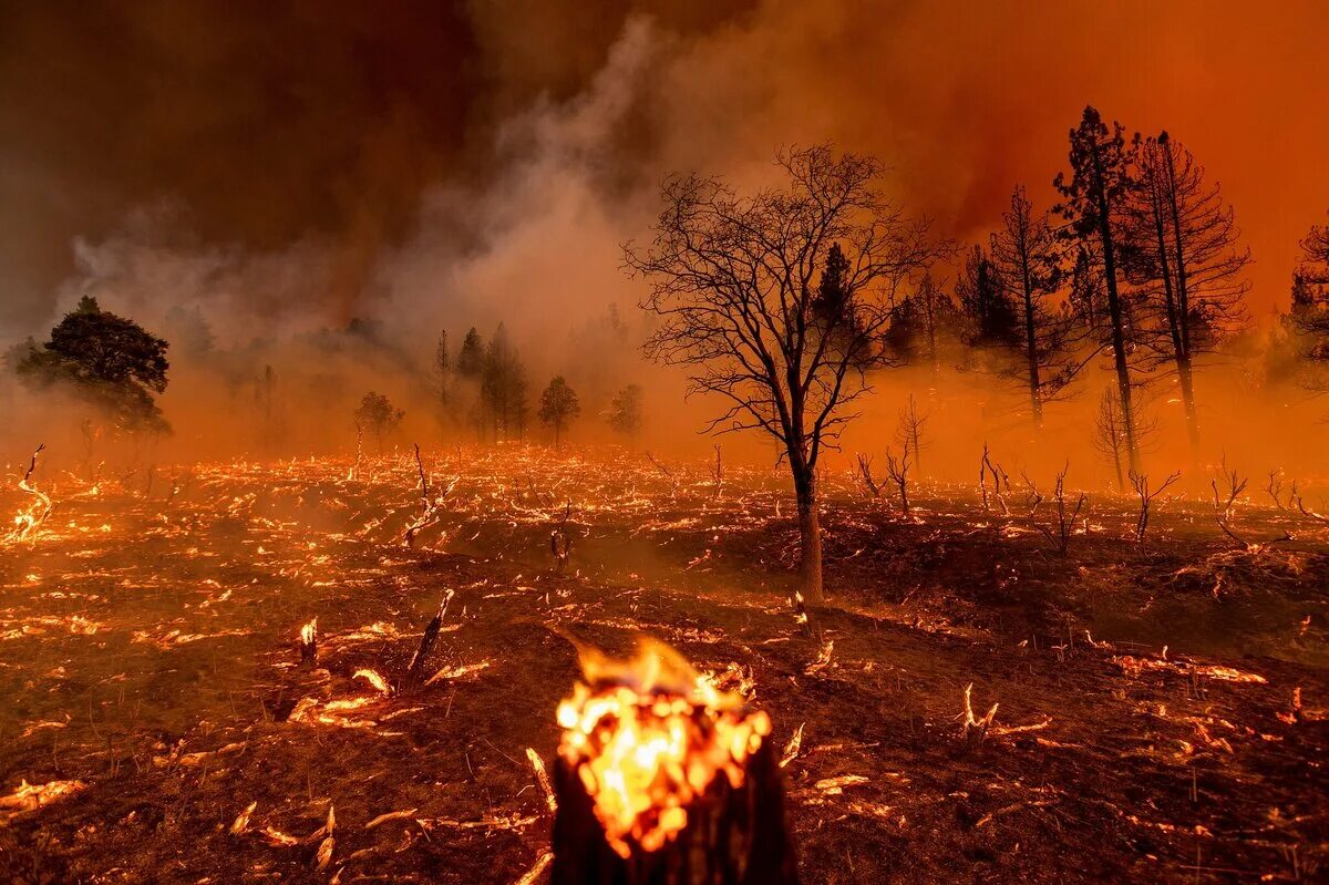 Лесной пожар 3 класс. Лесные пожары. П Лесной. Лес в огне. Стихийные пожары.