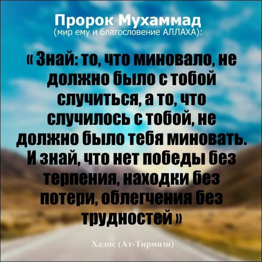 Пророк мухаммад текст. Пророк мухаммад мир ему и благословение аллаха. цитаты пророка мухаммеда. хадисы пророка мухаммада с.а.в. хажисы пророкамухамада.