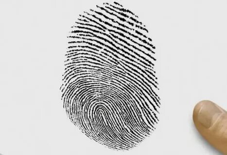 Fingerprints pro