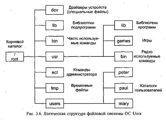 Файлы устройств это. Файлы устройств это. Файлы файловые переменные. Структура файловой системы unix. Файловая переменная в си.