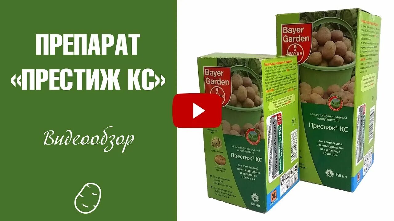 Средство для обработки клубней картофеля перед посадкой. Препарат от колорадского жука Престиж. Престиж Bayer для клубней картофеля. Протравитель для картофеля от колорадского жука. Препарат Престиж для картофеля.