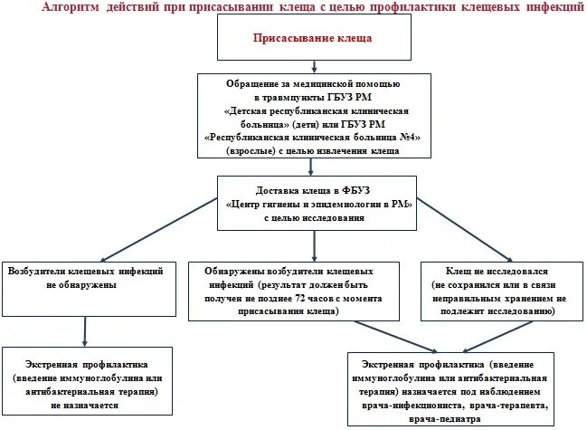 Алгоритм действий при тревогах. Алгоритм при укусе клеща. Алгоритм действий. Помощь при укусе клеща алгоритм действий. Алгоритм действия врача при укусе клеща.