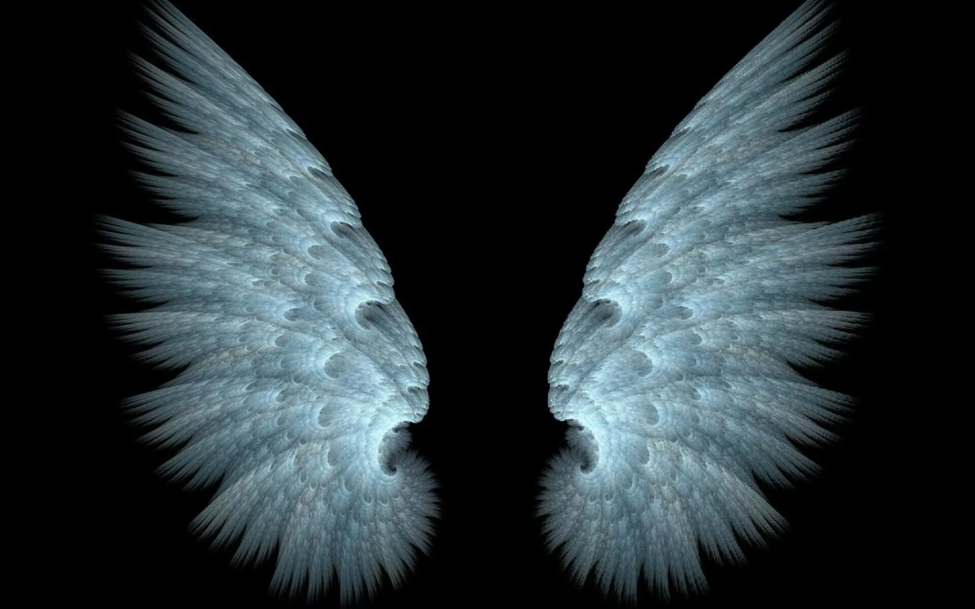 Красивые Крылья. Ангельские Крылья. Ледяные Крылья. Белые Крылья. Крылья на черном фоне