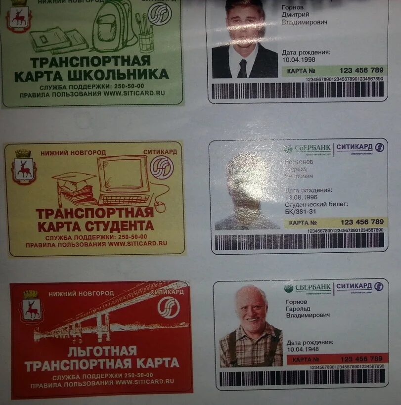 Как оформить ситикард. Карта школьника ситикард. ситикард льготная транспортная карта. транспортная карта школьника. студенческий проездной ситикард.