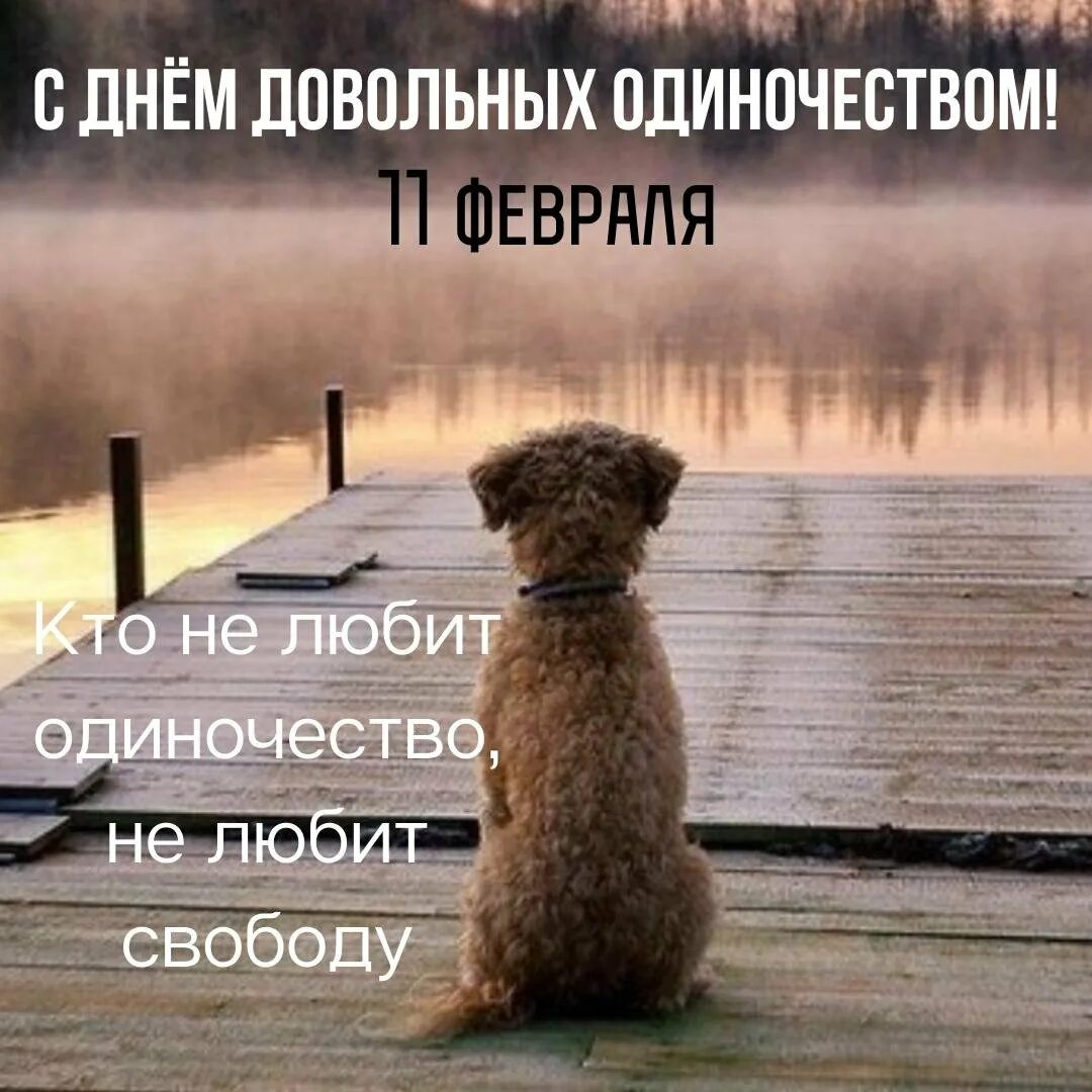 День довольных одиночеством