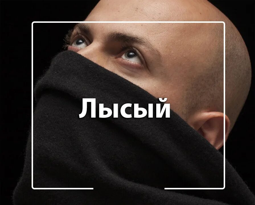 Шо ты лысый плаке плаке. Слово лысый. слово лысина. тексты с лысыми. лысая слова.