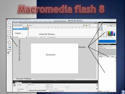Macromedia flash