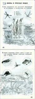 Как с помощью атласа определителя узнать