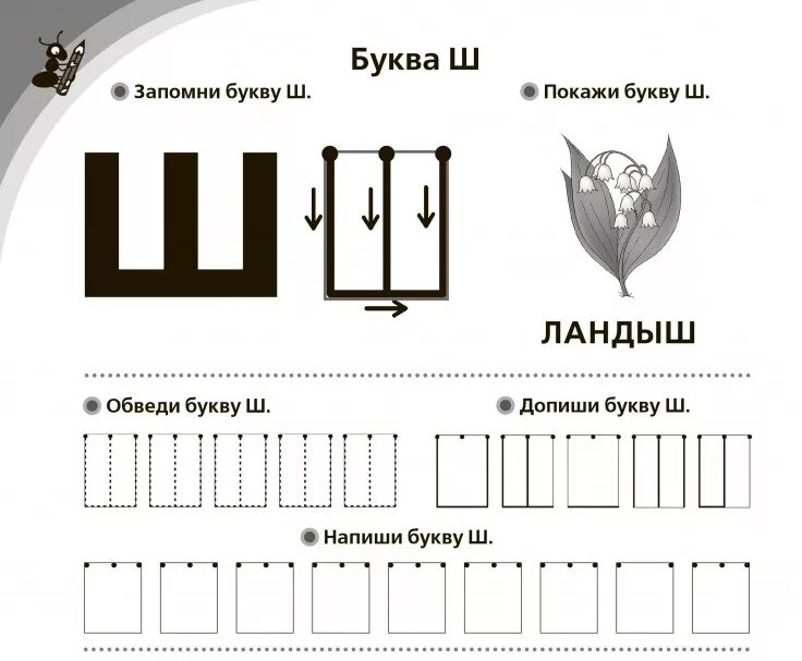 Большие прописи к логопедическому букварю. Элементы буквы ш для дошкольников. Штриховка буквы ш для дошкольников. Задание звук и буква ш