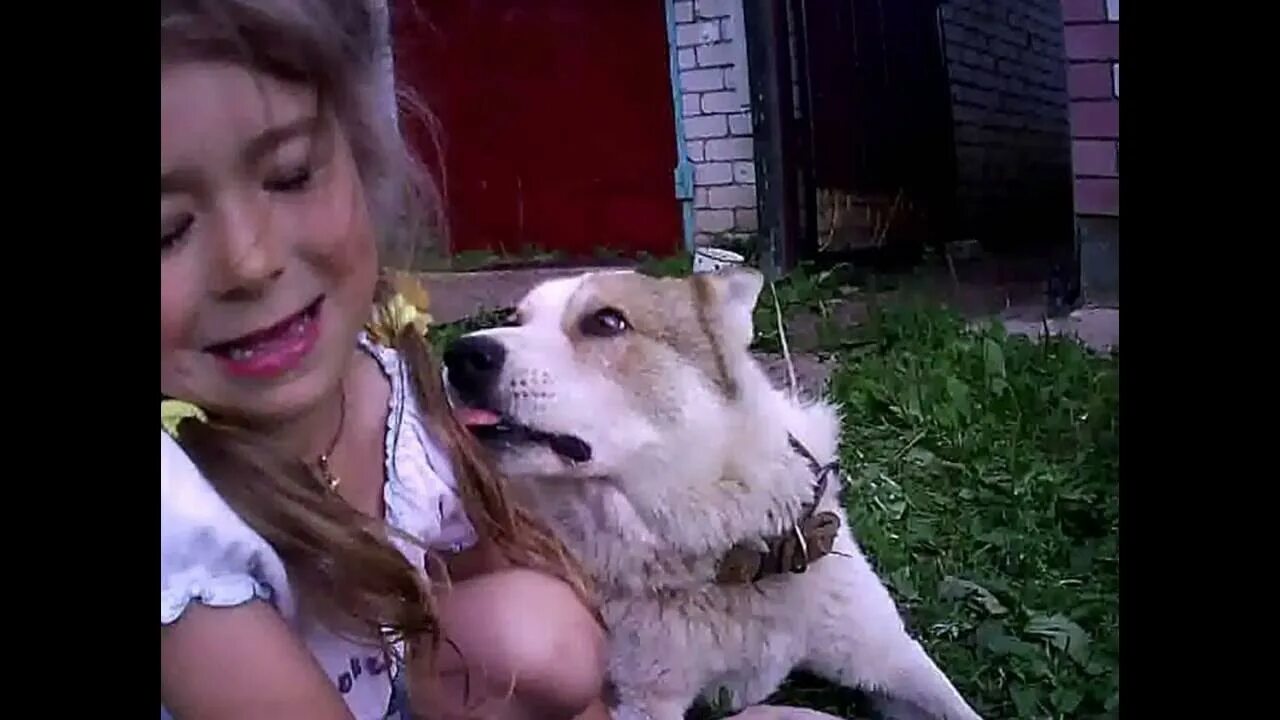 Девочка с собакой на даче видео. Девочка собака резеда. девочка собака резеда тумбакова. видео девочка с собакой.