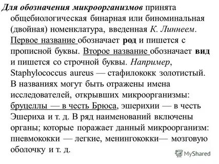 Двойная номенклатура