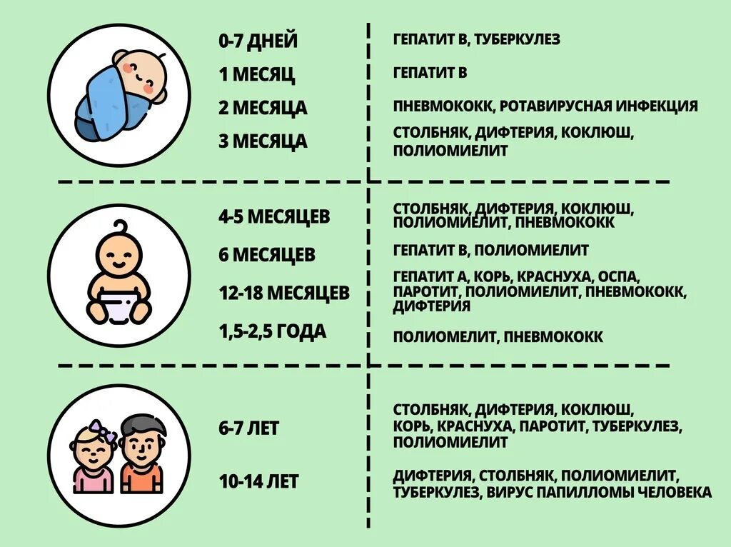В каком возрасте какие прививки делают детям. В каком возрасте какие прививки делают детям