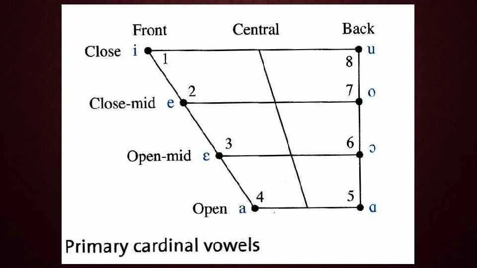 The system английский. Cardinal Vowels Daniel Jones. Cardinal Vowel System. The System of Cardinal Vowels. English Vowels on the Table of Cardinal Vowels.. The System of 8 Cardinal Vowels..