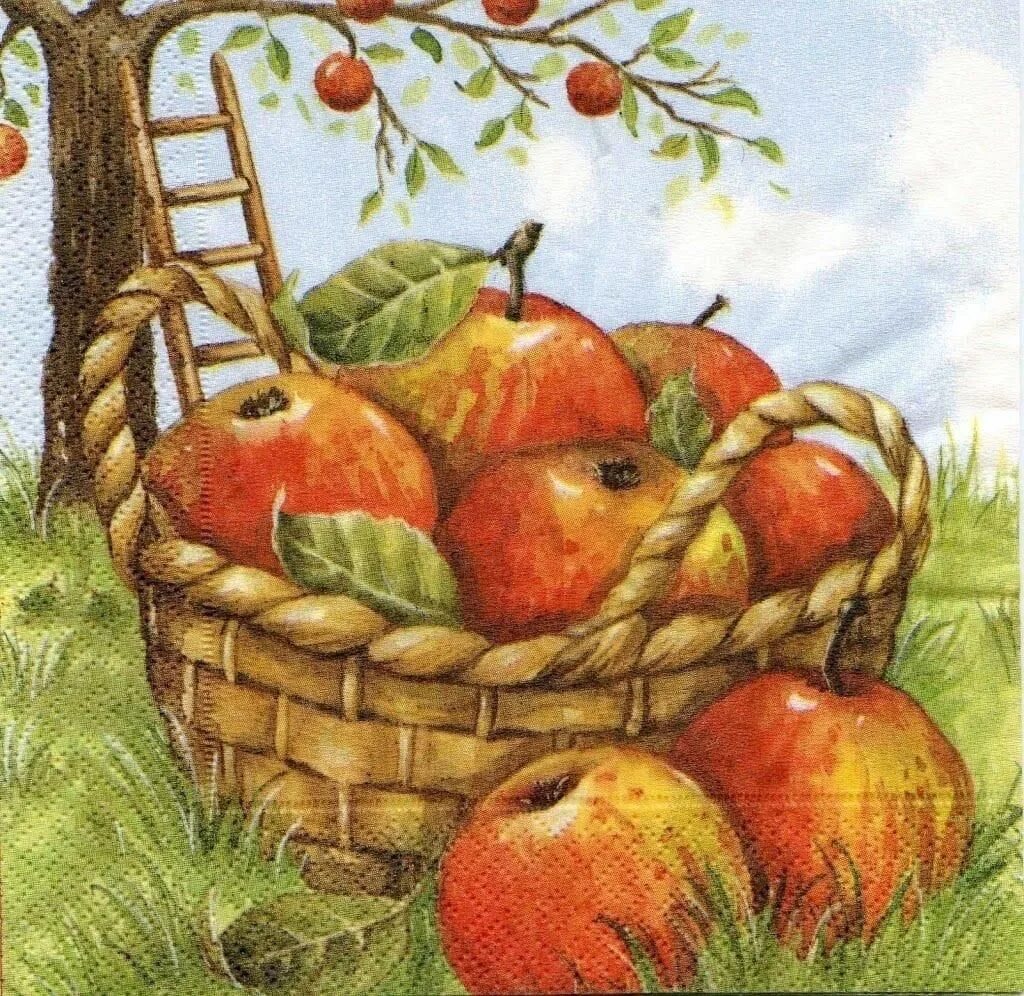 Корзинка с яблоками. Рисование яблоки в корзинке. Корзина с яблоками рисунок. Корзина яблок Сказочная.