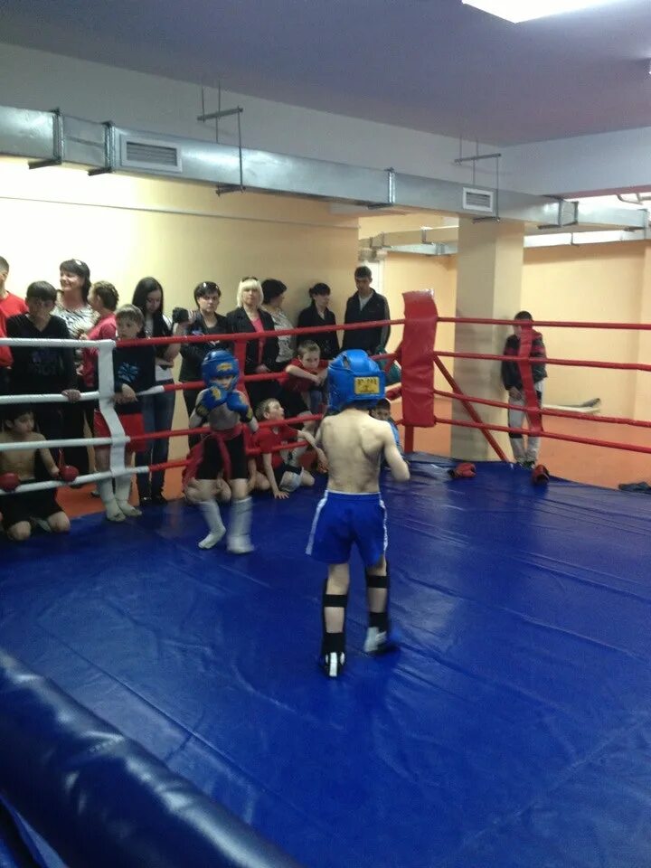 Смешанные единоборства иркутск. Клуб сибирские медведи смешанные единоборства. Смешанные единоборства иркутск. Боевые искусства иркутск для девушек. Сибирский медведь мма иркутск.