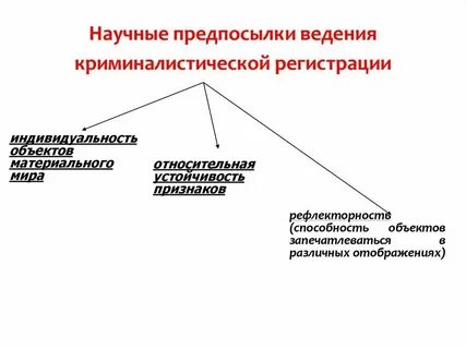 Рефлекторность