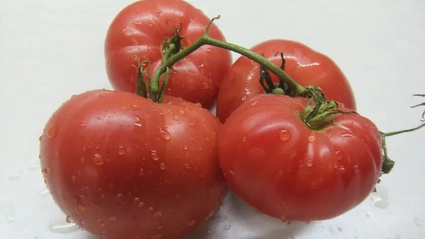 Томат золотая королева 20шт. Томат гигант маслова. Томат королева рынка сибирский сад. Томат колхозная королева семена. Мистер полосатик томат.