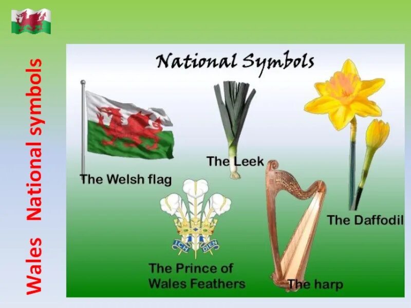Symbol of wales