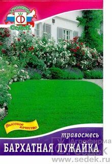 Трава бархат