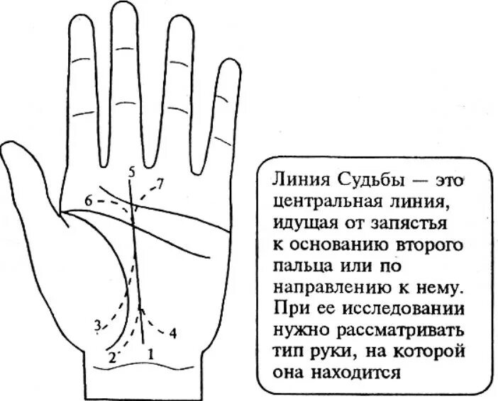 Хиромантия линии сбоку ладони. Линия судьбы хиромантия расшифровка профессионала. Линия судьбы на руке хиромантия. Хиромантия по руке линия судьбы на правой.