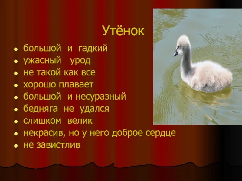 Гадкий утенок Андерсен. Г-Х Андерсен Гадкий утенок пословицы. Пословицы к сказке Гадкий утенок. Презентация Гадкий утенок. Отзыв на сказку гадкий утенок 3 класс